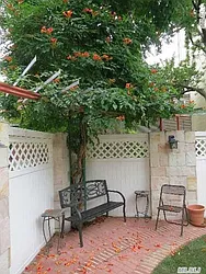 Rented by NYC Living Well Realty LLC