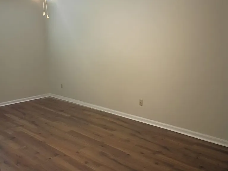 4437 Old Hickory Ln — Photo 17