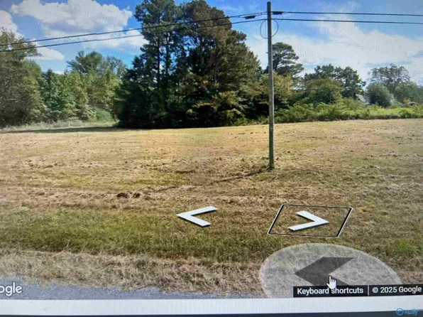 4319 Hopewell Rd, Arab, AL 35016