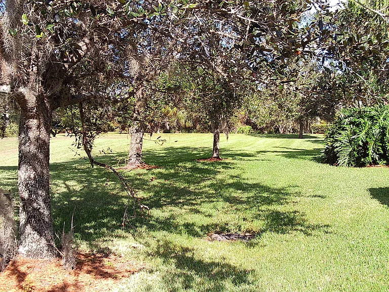 7615 Camminare Dr — Photo 15