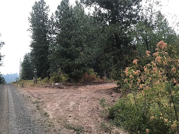2nd image of 200 Snowberry Ln