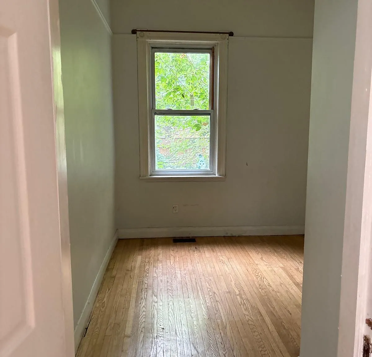 1 bed, $1,195 — Photo 4
