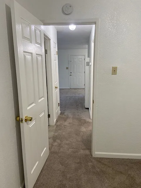 2 bed, 800 sqft, $2,275 — Photo 4
