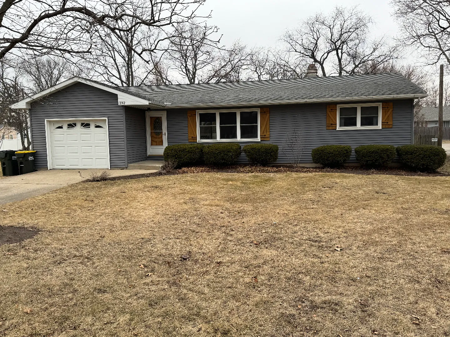 232 South Ave photo 1