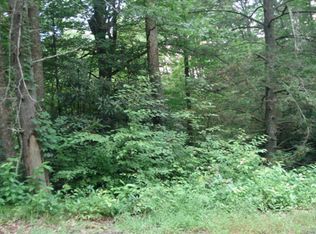 Blue Branch Rd, Burnsville, NC 28714