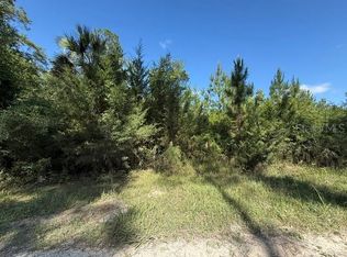 County Road 75 Lot 1, Bunnell, FL 32110