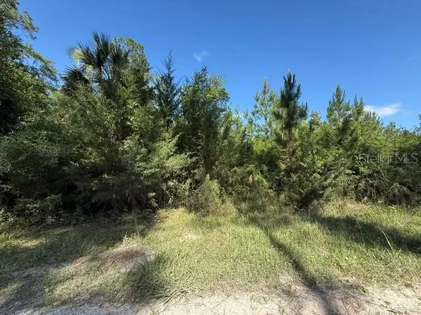 County Road 75 Lot 1, Bunnell, FL 32110