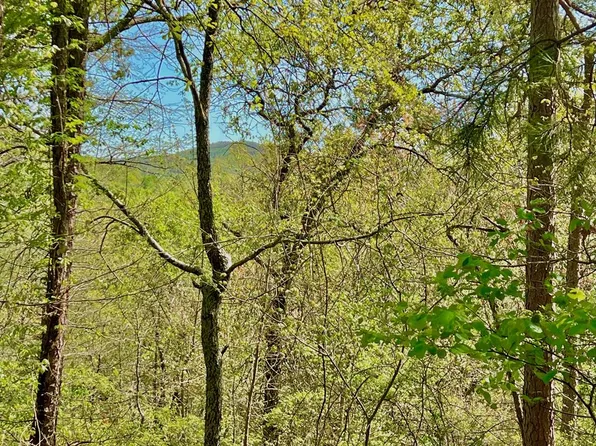 694 Railey Rd, Ranger, GA 30734