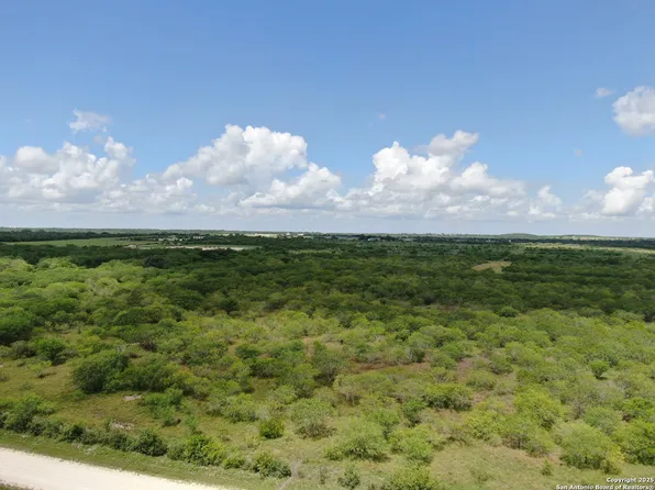 TRACT 6 County Rd 208 LOT TR35, Hobson, TX 78117