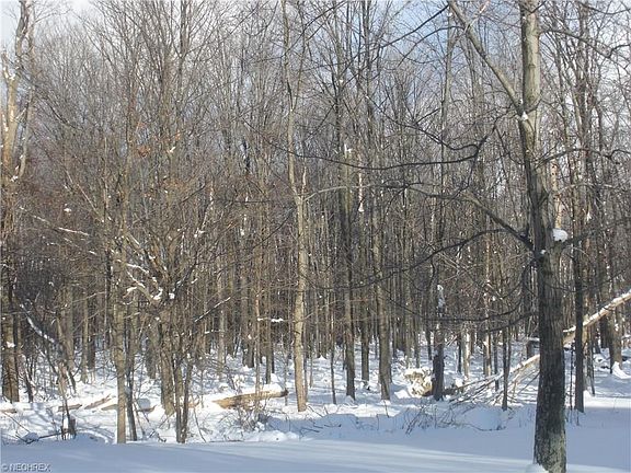 3rd image of 9833 Tamarack Trl