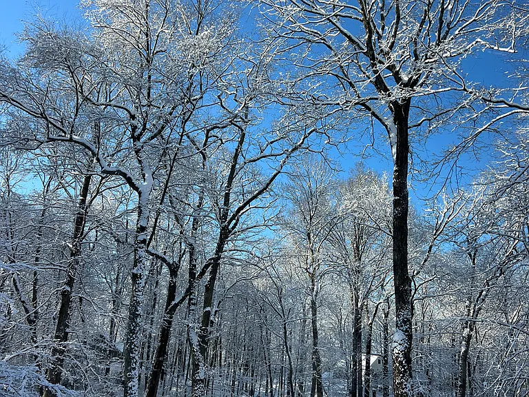 A view during the winter.
