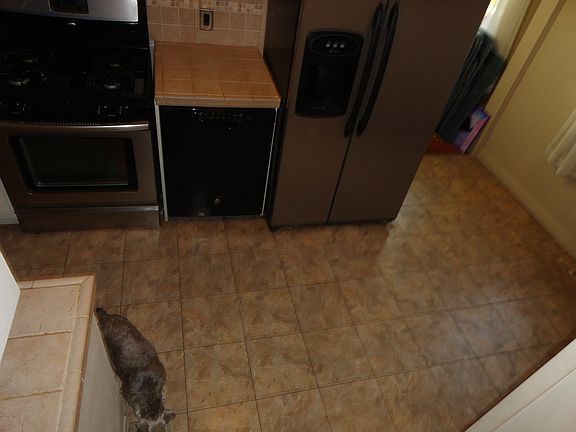 Kitchen flooring