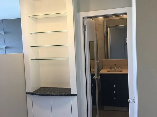 1455 N Sandburg Ter, Chicago, IL