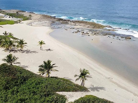 4th image of Guayabo #D