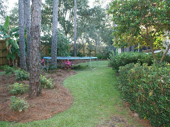 Brand New Sod   Landscaping in Front and Back