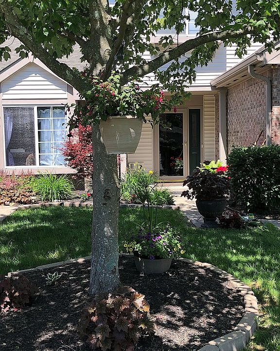 1st image of 8583 Timber Park Dr