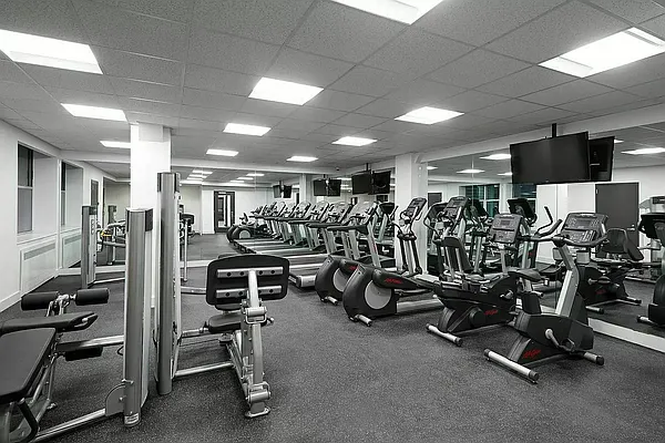 Rented by Douglas Elliman | media 20