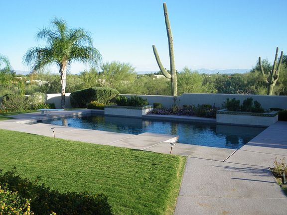 Back Yard Facing South