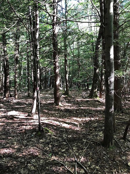 3rd image of 0 FIRE TOWER Road