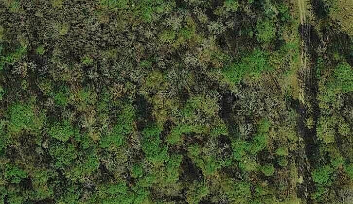 1st image of 11653 Indian Oaks Ln