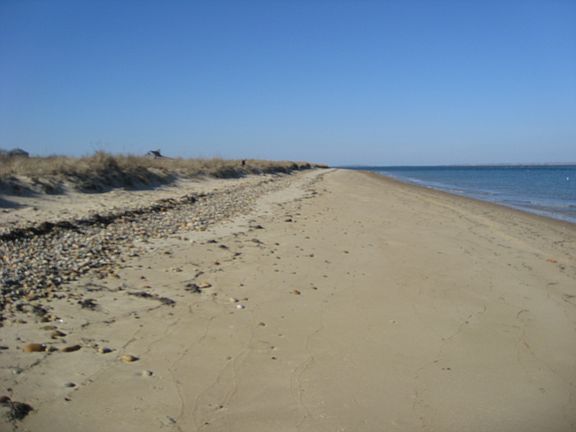 Gorgeous beach