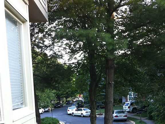 4th image of 20430 Cabana Dr
