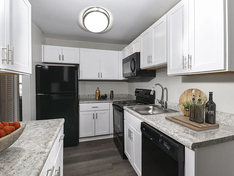 Chesapeake Pointe — Photo 1