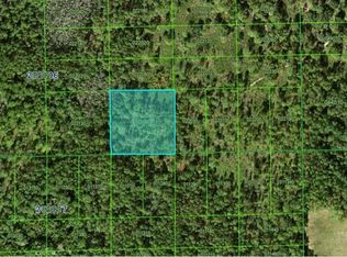 Green Pond Rd #433, Polk City, FL 33868