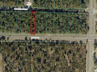 Bahia Terrace Dr LOT 16, Ocala, FL 34472