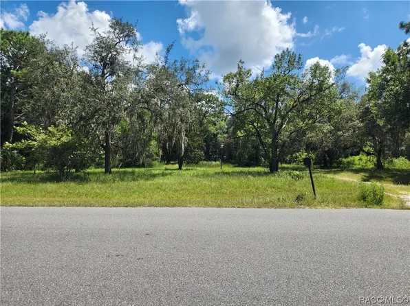 6590 W Arter St, Crystal River, FL 34429