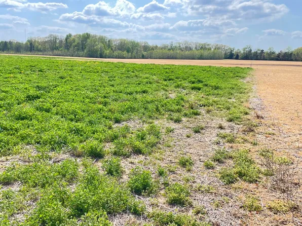 2 Law Rd, Lexington, TN 38351