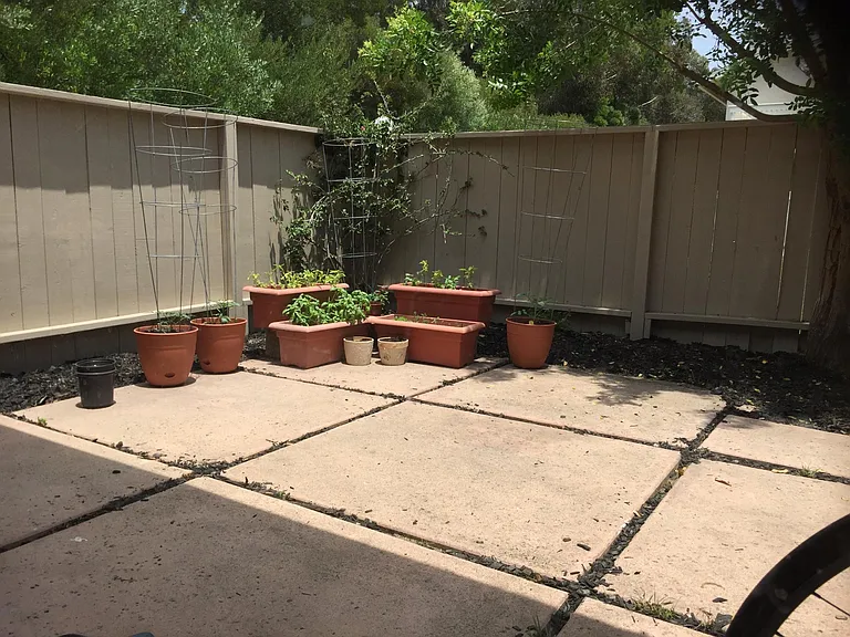 8016 Camino Tranquilo — Photo 14