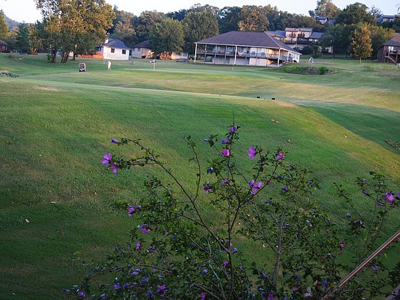 backyard view