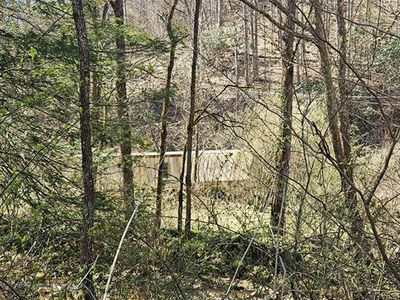 3687 Old Kentucky Turnpike Rd, Raven, VA, 24639