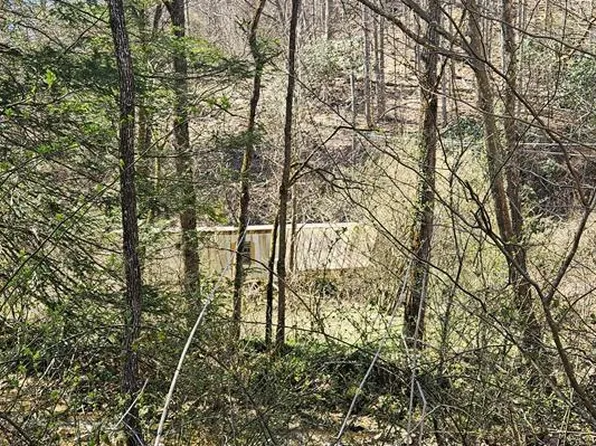 3687 Old Kentucky Turnpike Rd, Raven, VA 24639