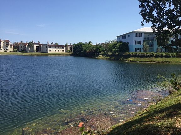 Community Lake