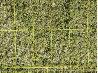 PID 710801150230 NO STREET, DELAND, FL 32724