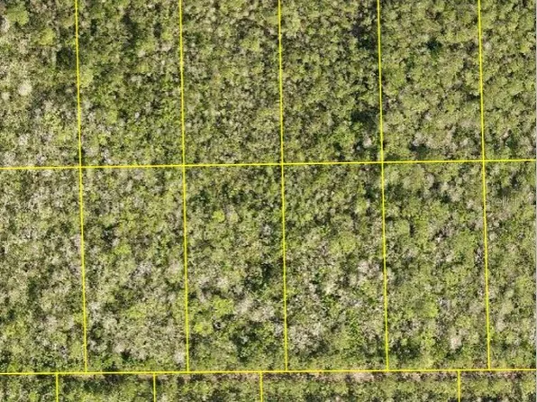 NO STREET, DELAND, FL 32724