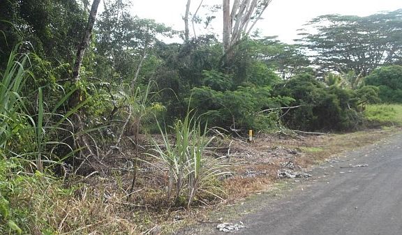 3rd image of 17th St Lot 581