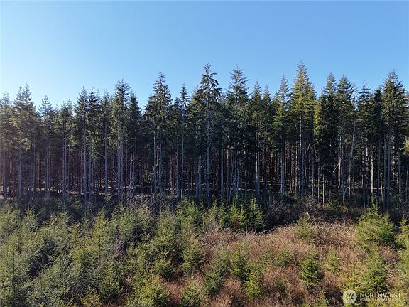 2nd image of 0 36.75 AC Kirkpatrick Road