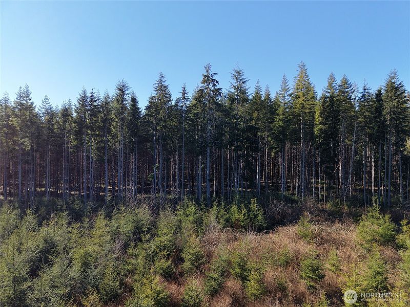 2nd image of 0 36.75 AC Kirkpatrick Road