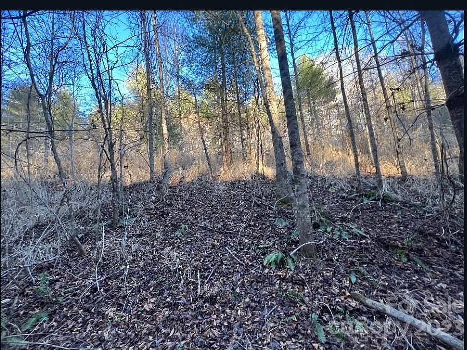 2nd image of 0 Grapevine Rd