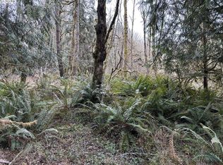 0 Paine Rd, Silverlake, WA 98645