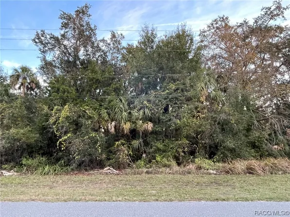 11631 W Timberlane Dr, Homosassa, FL 34448