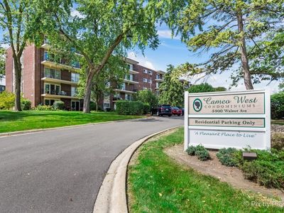 5300 Walnut Ave APT 5E, Downers Grove, IL, 60515