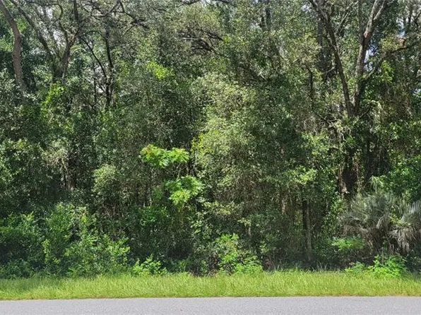 0 SW BEACH BOULEVARD LOT 60, DUNNELLON, FL 34431