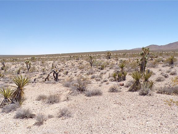5th image of 337-16-307 Gladiola Road