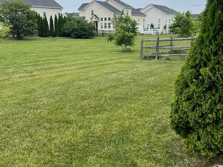 249 Rossnakill Rd — Photo 7