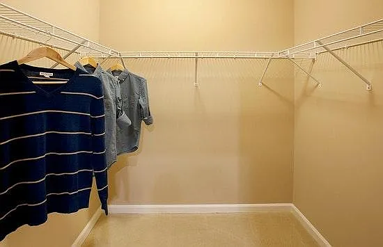 Master Bedroom Closet 1
