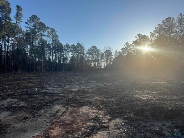 2189 Hack Berry Rd, Gilmer, TX 75644